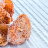 Smrznute lisičarke: kako kuhati, šta se može učiniti